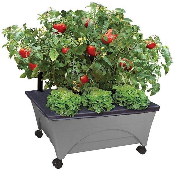 Emsco Group City Picker Raised Bed Grow Box Self Watering and Improved Aeration Mobile Unit with Casters - Slate